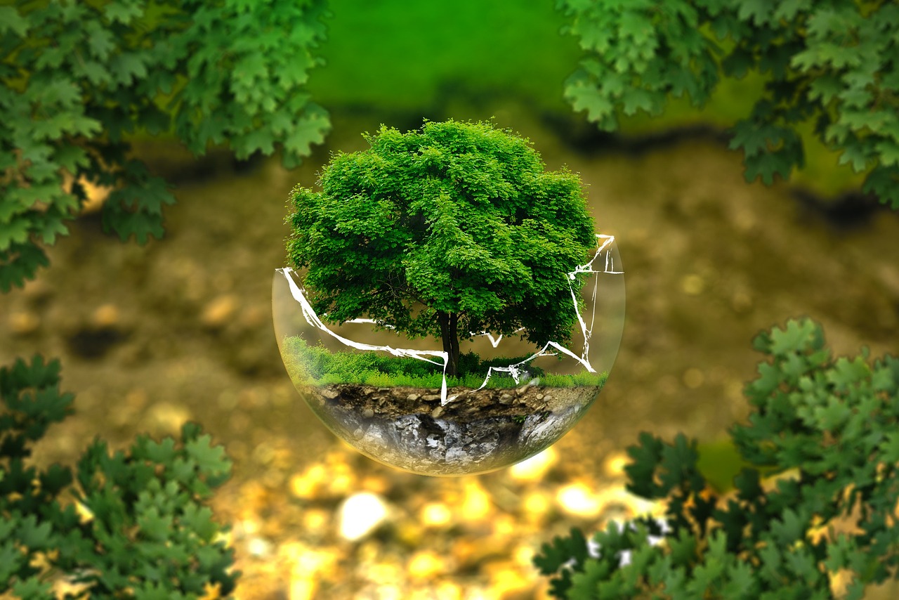 Discovering the Metaphysics of Purpose in Life